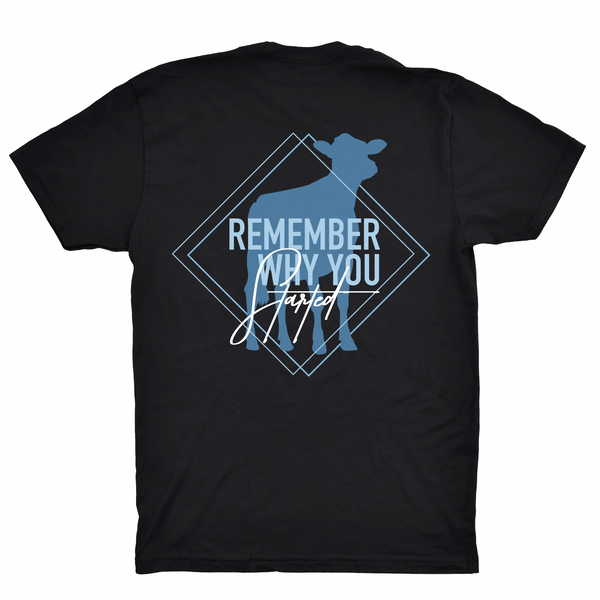 "Remember Why You Started" Dairy Shirt