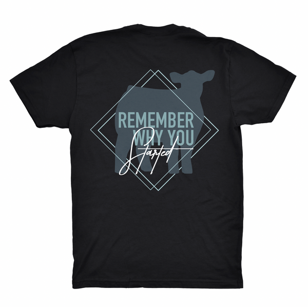 "Remember Why You Started" Beef Shirt