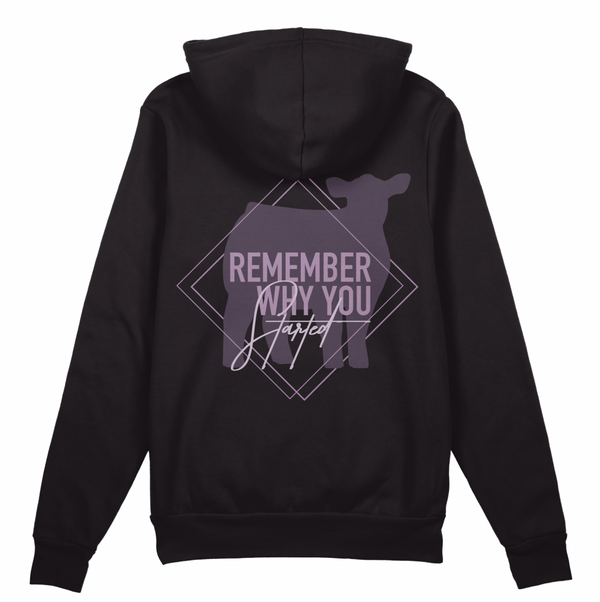 "Remember Why You Started" Beef Hoodie