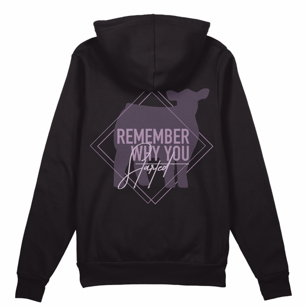 "Remember Why You Started" Hoodie