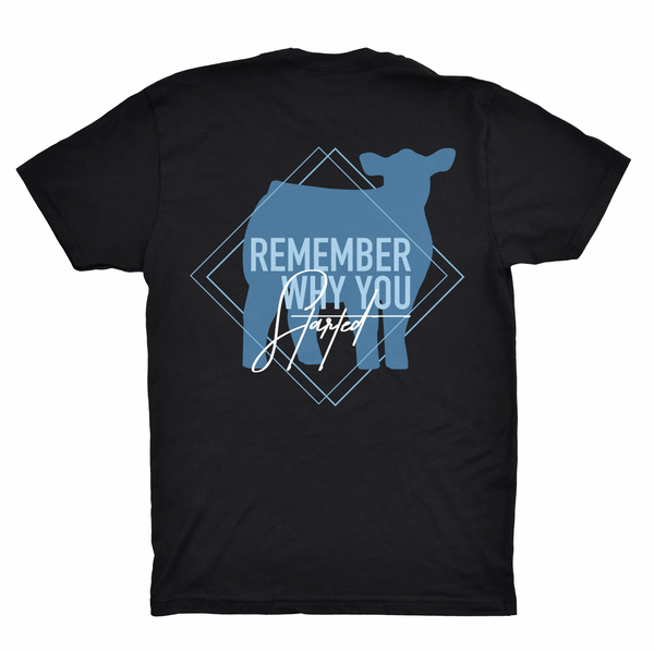 "Remember Why You Started" Beef Shirt