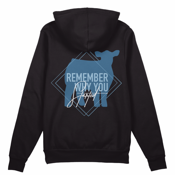 "Remember Why You Started" Beef Hoodie