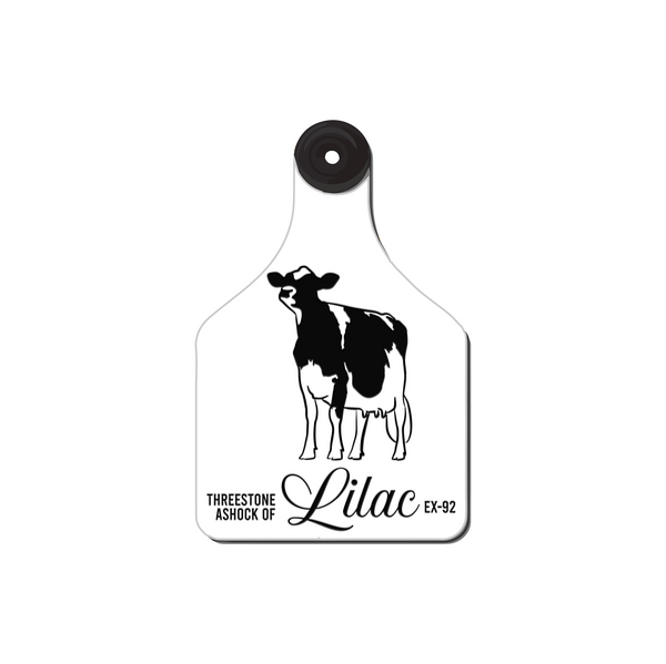 Custom Cow Engraved Ear Tags