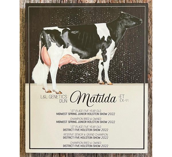 Custom Cow Plaque - Print